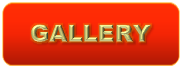 Gallery section of website.